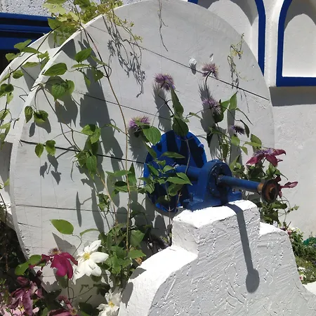 Ξενοδοχείο Kalofer 3*