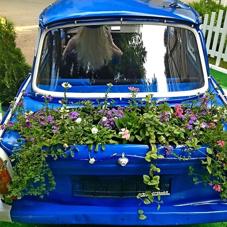 Ξενοδοχείο Kalofer 3*