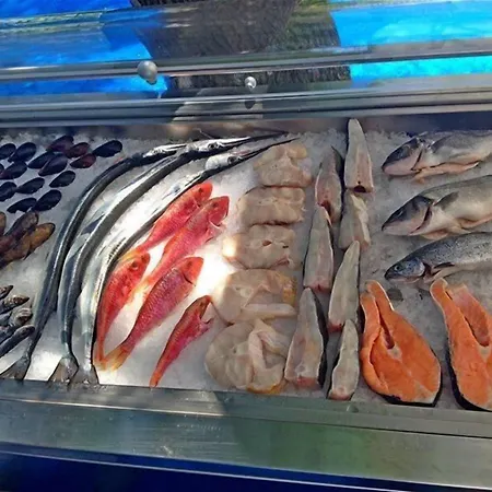 酒店 Kalofer